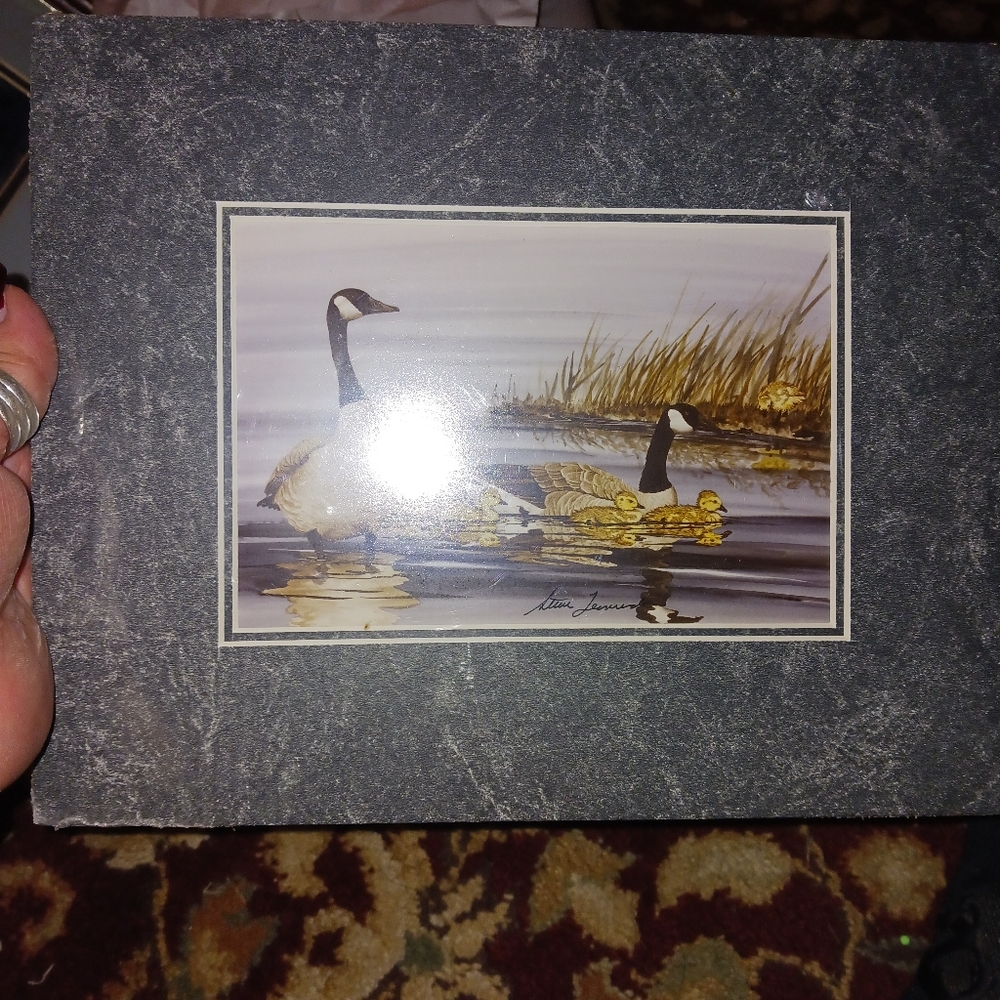 Matted Goose Print